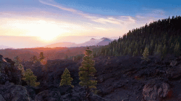 夫妻之间的怨气，都是有因果的-图片4