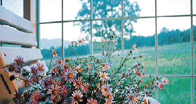 优秀的人都懂得这些【泰国佛牌】 优秀的人都懂得这些-图片4