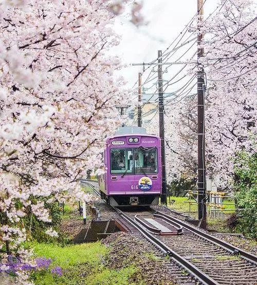 【三则故事】送给奋斗中的你-图片2