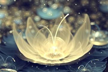 你的能量场决定你的寿命【泰国佛牌】 你的能量场决定你的寿命【泰国佛牌】