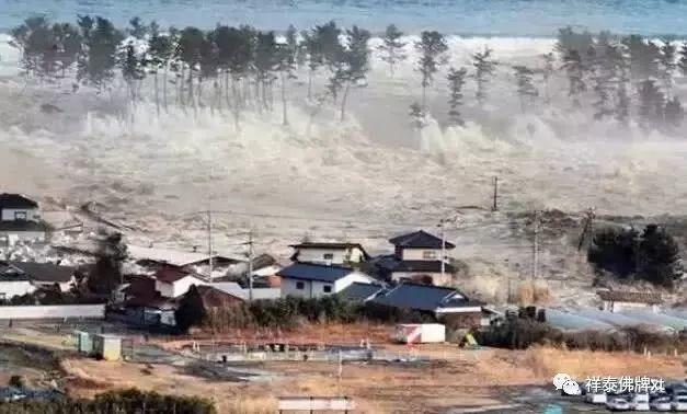 台风近期频繁发生，源于海洋众生的报复！-图片11