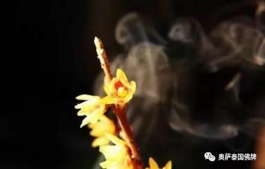 如来佛到底是什么佛？（下）-图片2