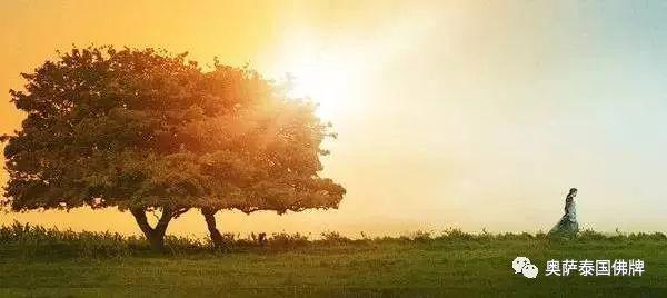 我们念阿弥陀佛，地藏菩萨最高兴了-图片1