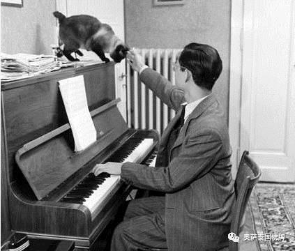 泰国九世王不为人知的那些事-图片11