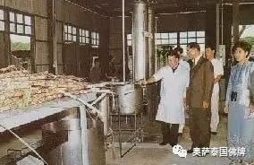 泰国九世王不为人知的那些事-图片82