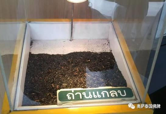 泰国九世王的皇宫世界仅有，竟全长满了“草”-图片39