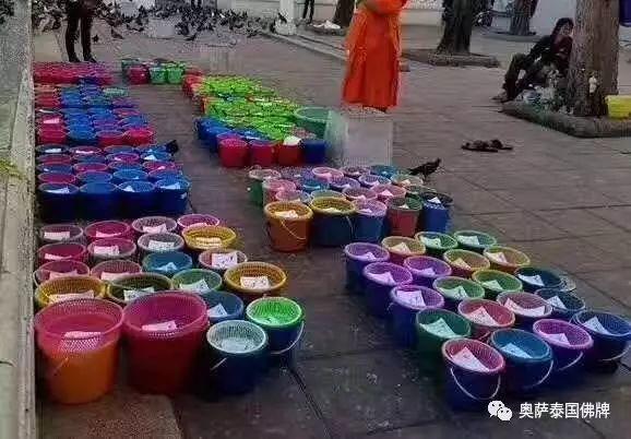 跑庙活动即将开始，抓紧时间预约起来吧！-图片3