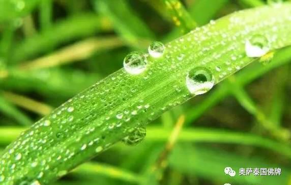 失传百年的聚财开运法被算命大师爆出,快快收藏吧!【泰国佛牌】 失传百年的聚财开运法被算命大师爆出,快快收藏吧!-图片5