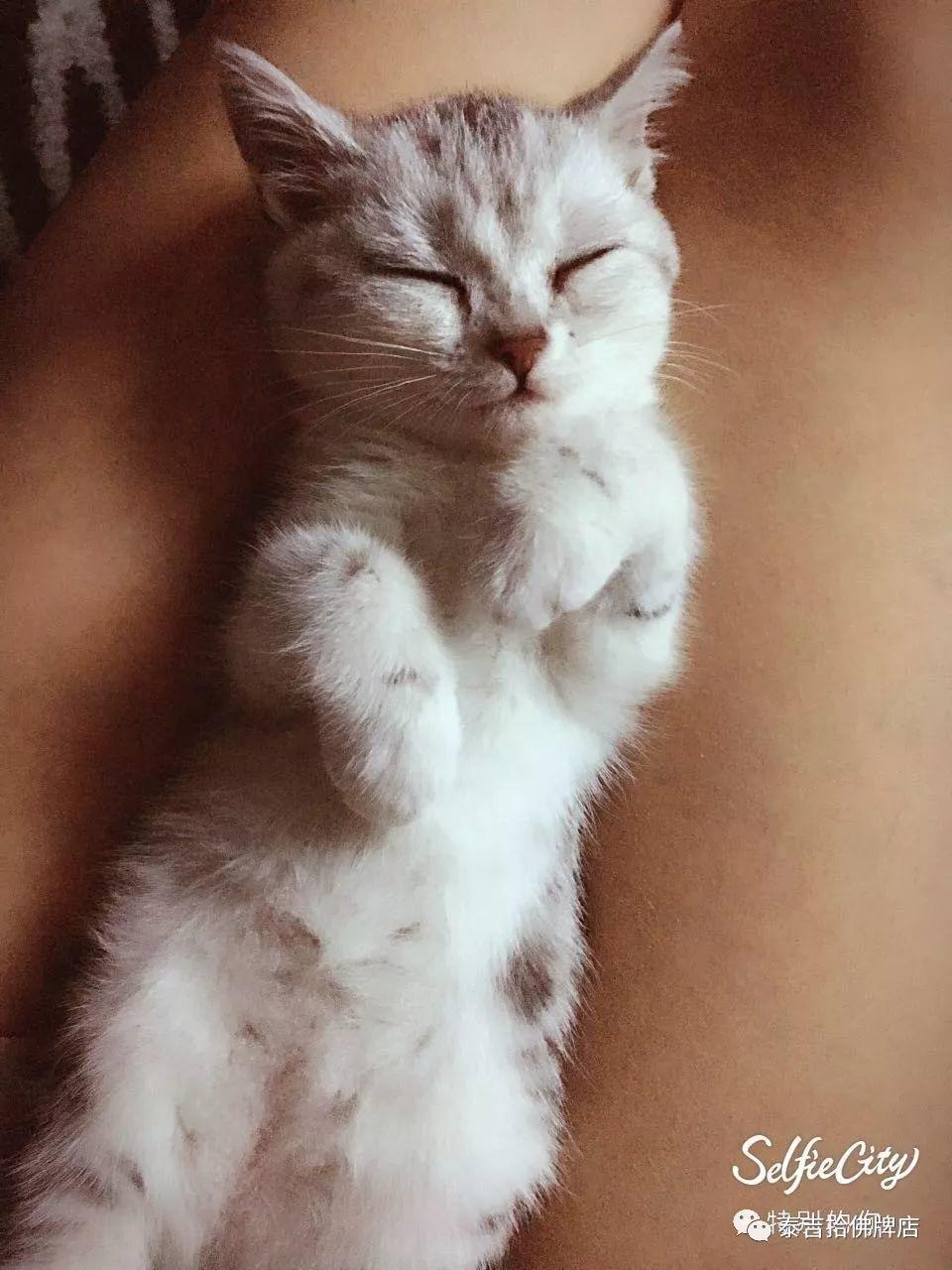 在祖国的怀抱里一条生命就这么不值钱-图片8