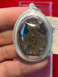 龙婆柳财龟:龙婆柳(龙婆留)神龟和招财鳄鱼功效怎么样?