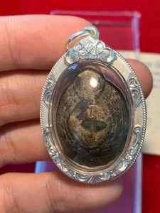 龙婆柳财龟:龙婆柳(龙婆留)神龟和招财鳄鱼功效怎么样?