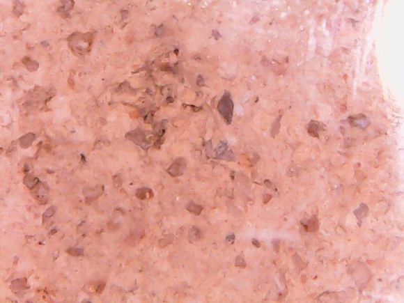 80.jpg 关于龙婆班神兽崇迪的分析讲解(一)-图片21