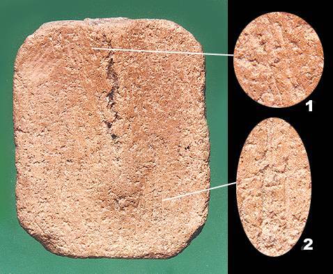 72.jpg 关于龙婆班神兽崇迪的分析讲解(一)-图片10