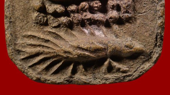 78.jpg 关于龙婆班神兽崇迪的分析讲解(一)-图片19