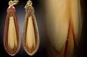 龙婆术2500年白兰花-图片1