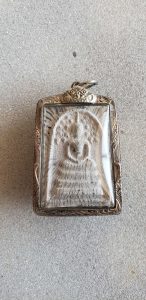 龙婆培大师2514印度之旅黑肉版崇迪