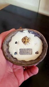 龙婆禅南师父佛历2560年供奉型大梵天王四面神-图片3