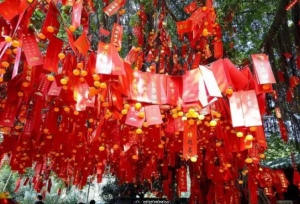 招聘桃花很灵的老方法-图片1