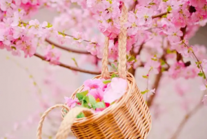 招桃花很灵的老方法-图片2