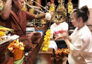 泰国情降法是用什么下降-图片2