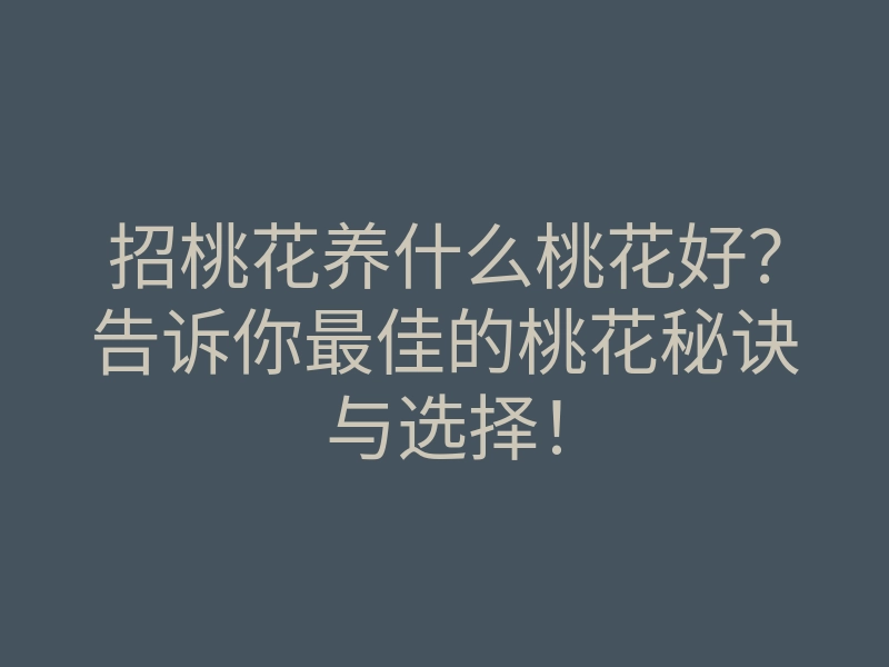 招桃花养什么桃花好？告诉你最佳的桃花秘诀与选择！