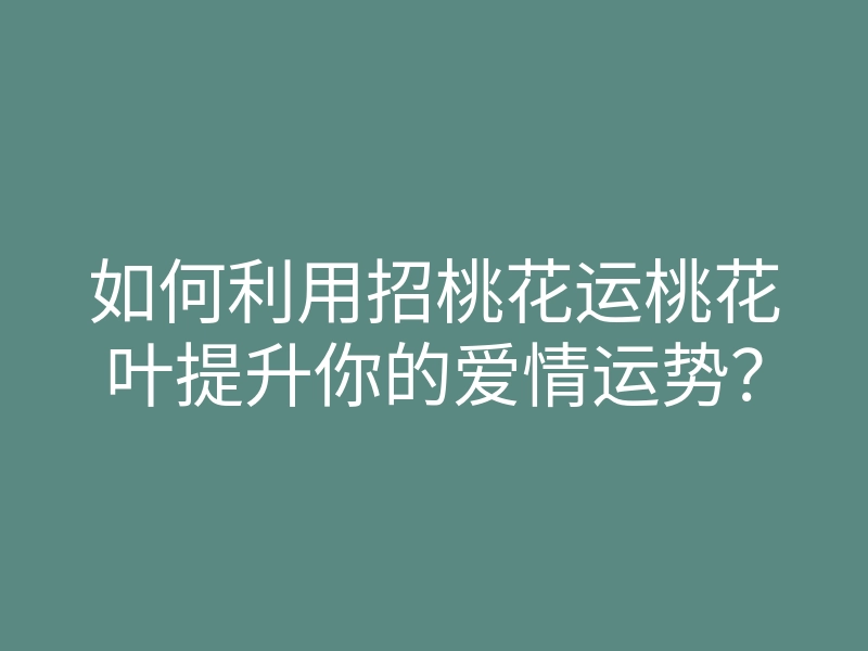 如何利用招桃花运桃花叶提升你的爱情运势?