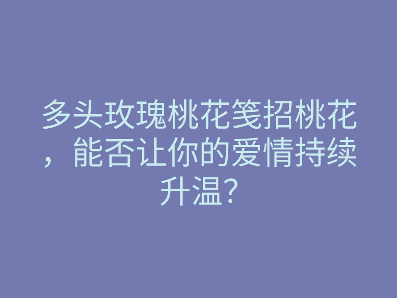 多头玫瑰桃花笺招桃花,能否让你的爱情持续升温?