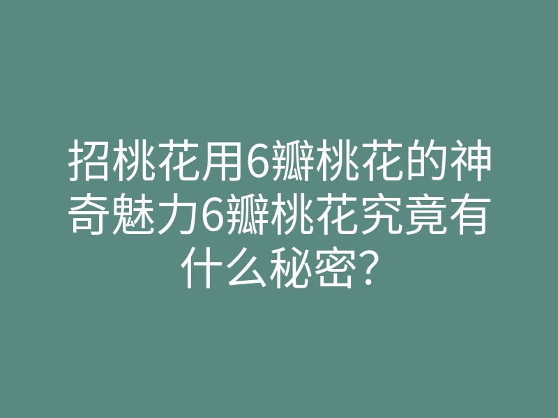 招桃花用6瓣桃花的神奇魅力6瓣桃花究竟有什么秘密?
