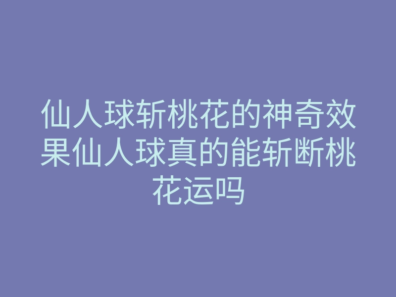 仙人球斩桃花的神奇效果仙人球真的能斩断桃花运吗