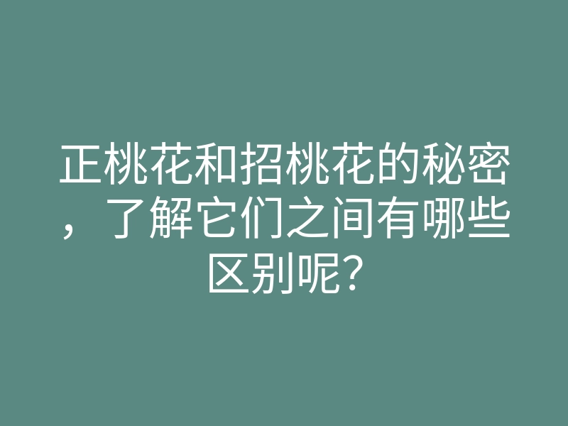 正桃花和招桃花的秘密,了解它们之间有哪些区别呢?