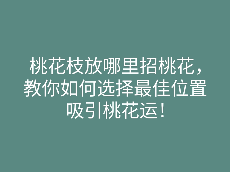 桃花枝放哪里招桃花,教你如何选择最佳位置吸引桃花运!
