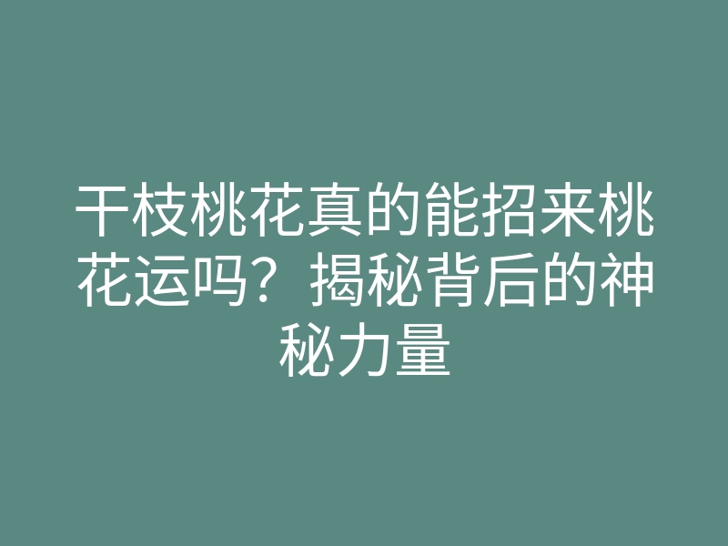 干枝桃花真的能招来桃花运吗?揭秘背后的神秘力量