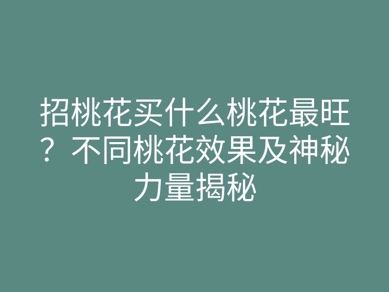 招桃花买什么桃花最旺?不同桃花效果及神秘力量揭秘