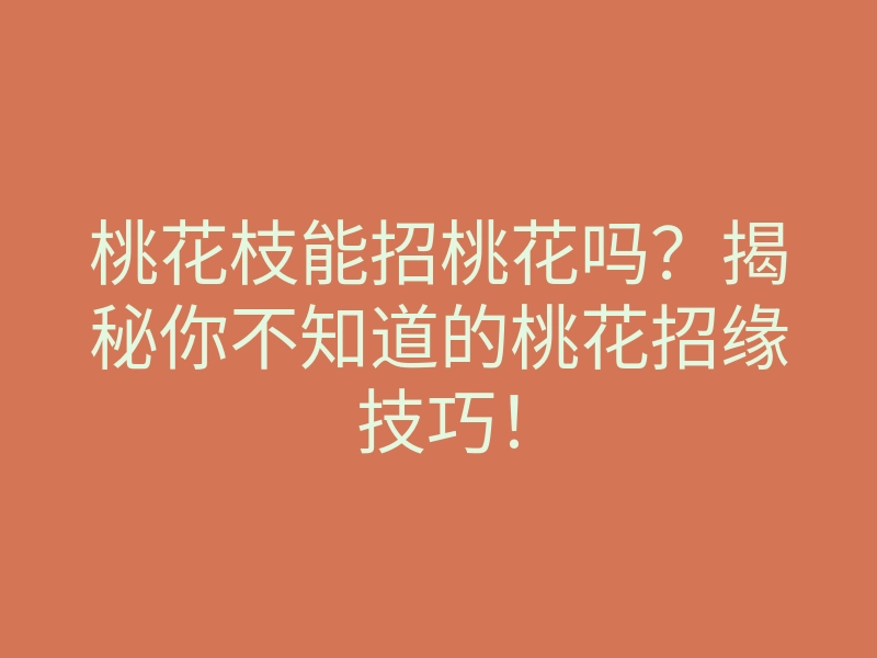 桃花枝能招桃花吗?揭秘你不知道的桃花招缘技巧!