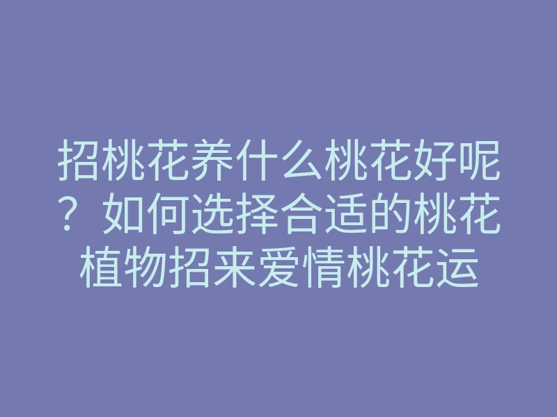 招桃花养什么桃花好呢?如何选择合适的桃花植物招来爱情桃花运