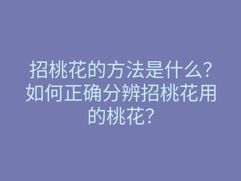 招桃花的方法是什么?如何正确分辨招桃花用的桃花?
