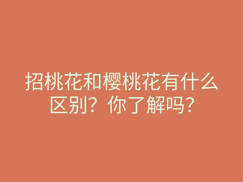 招桃花和樱桃花有什么区别?你了解吗?