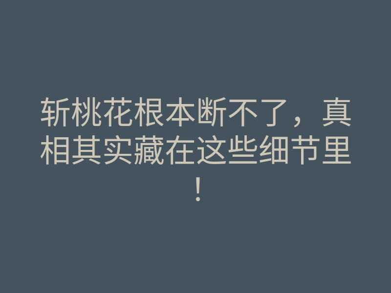 斩桃花根本断不了,真相其实藏在这些细节里!