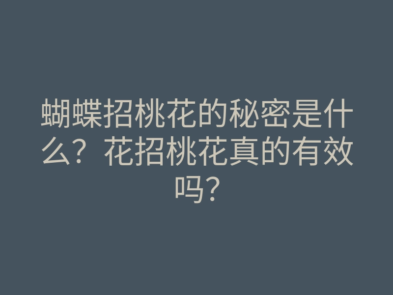 蝴蝶招桃花的秘密是什么?花招桃花真的有效吗?