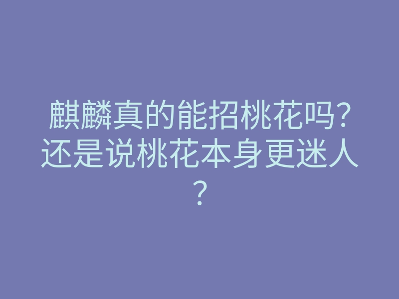 麒麟真的能招桃花吗?还是说桃花本身更迷人?