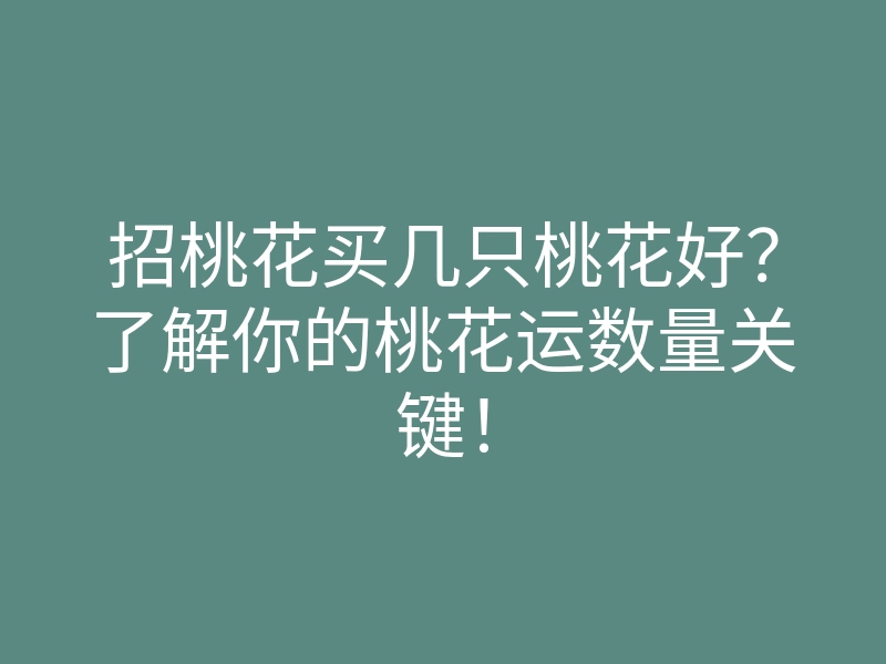招桃花买几只桃花好?了解你的桃花运数量关键!