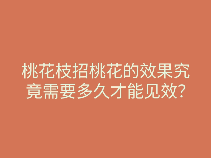桃花枝招桃花的效果究竟需要多久才能见效?