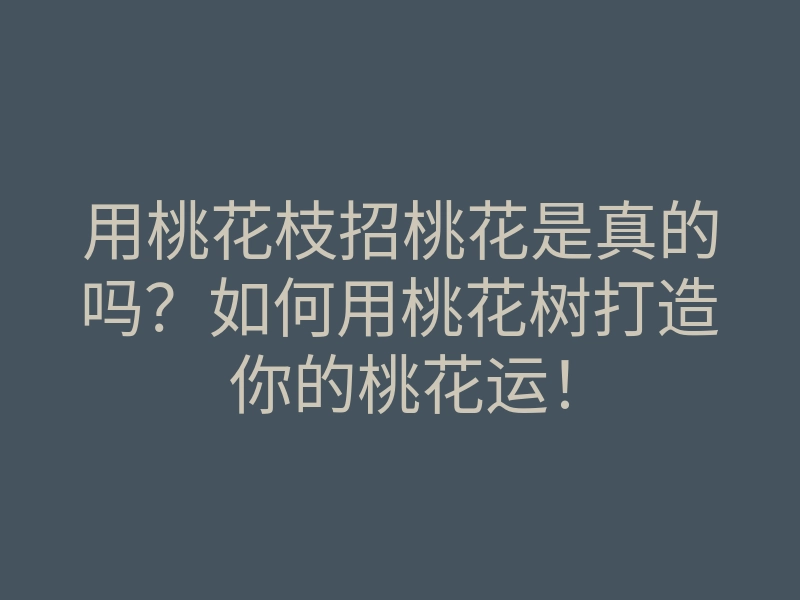 用桃花枝招桃花是真的吗?如何用桃花树打造你的桃花运!