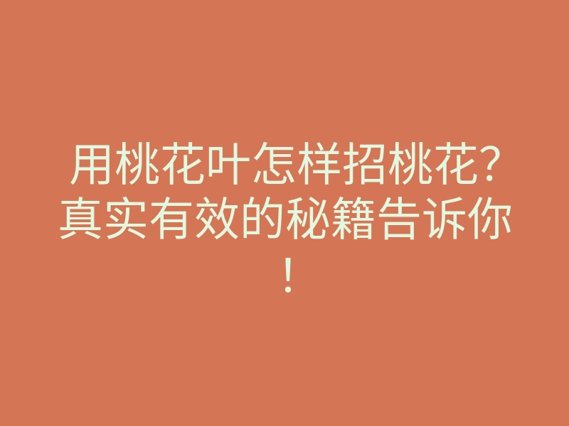 用桃花叶怎样招桃花?真实有效的秘籍告诉你!