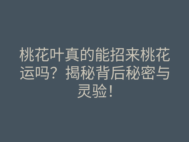 桃花叶真的能招来桃花运吗？揭秘背后秘密与灵验！
