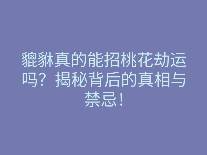 貔貅真的能招桃花劫运吗?揭秘背后的真相与禁忌!