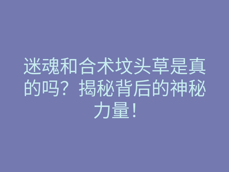 迷魂和合术坟头草是真的吗?揭秘背后的神秘力量!