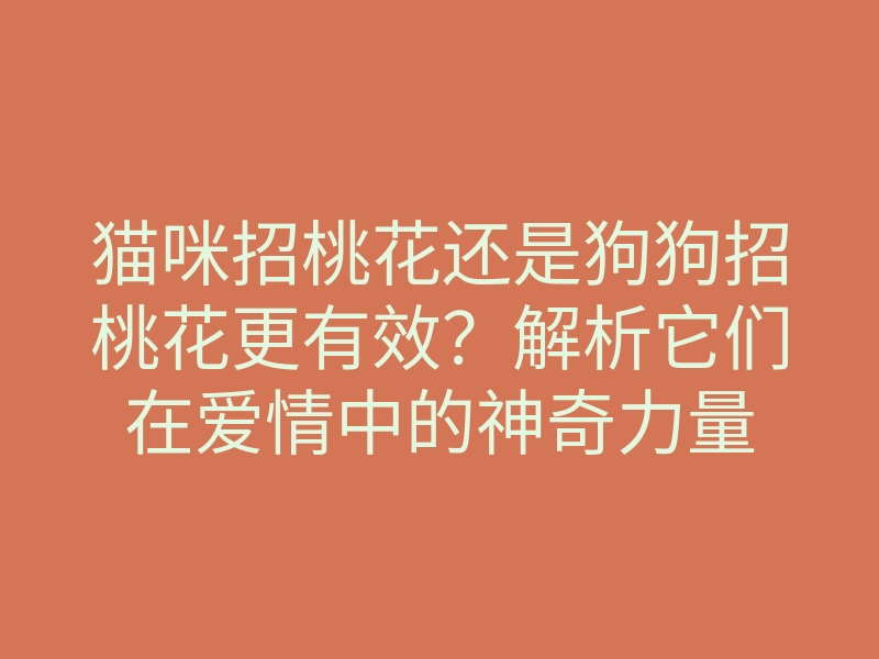 猫咪招桃花还是狗狗招桃花更有效?解析它们在爱情中的神奇力量