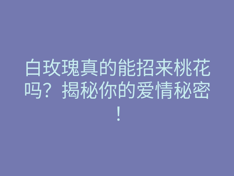 白玫瑰真的能招来桃花吗?揭秘你的爱情秘密!