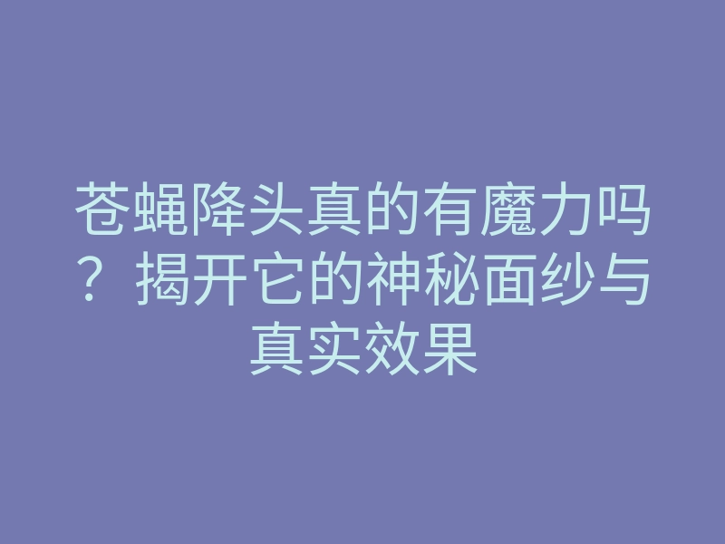 苍蝇降头真的有魔力吗?揭开它的神秘面纱与真实效果